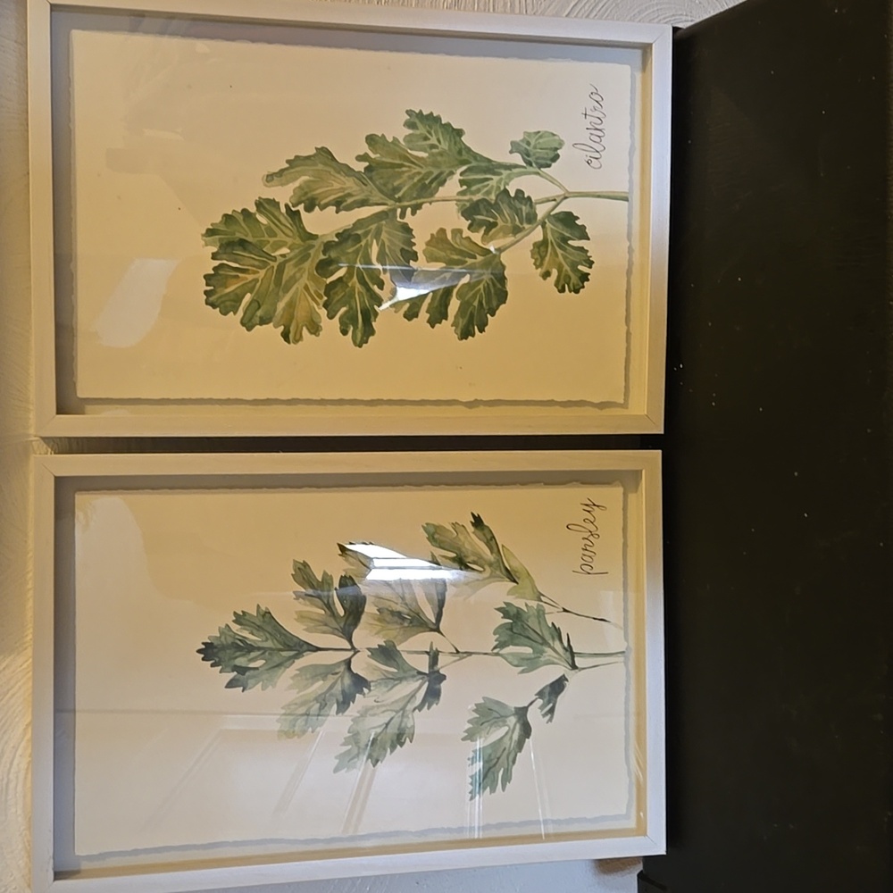 Herb Wall Art Set